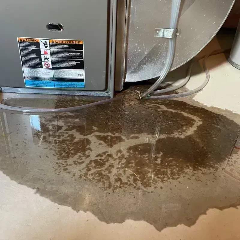 Appliance Leak Cleanup in Brushy Creek, TX